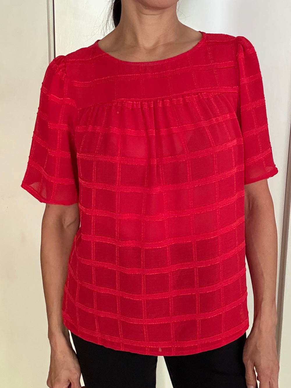 Sheer Red Short-Sleeve Grid Textured Blouse